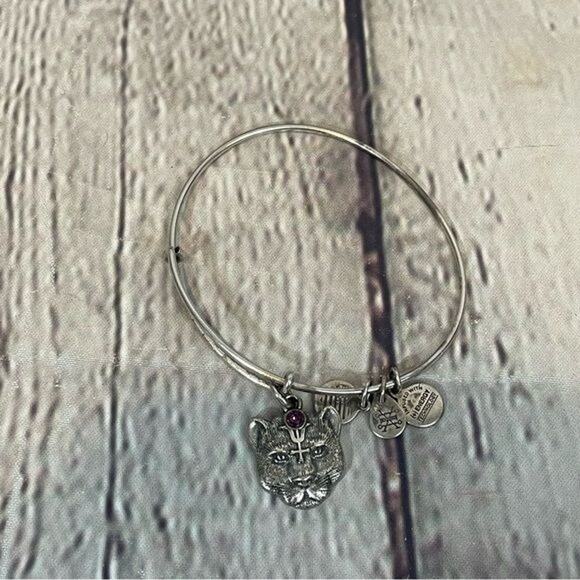 Alex and Ani Lioness Charm Bracelet - Picture 3 of 3